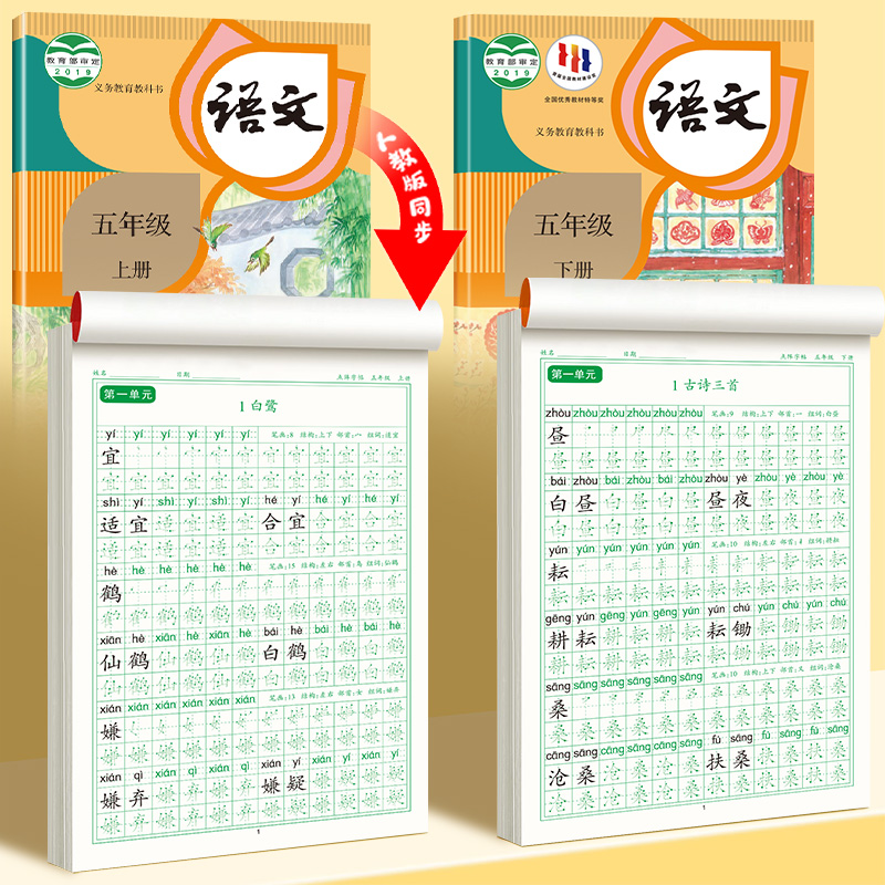 [上册]同步字帖5上+同步作文字帖 [正版]五年级上册字帖语文同步练字帖人教版小学生硬笔书法练字本楷书笔画笔顺儿童铅笔描高清大图