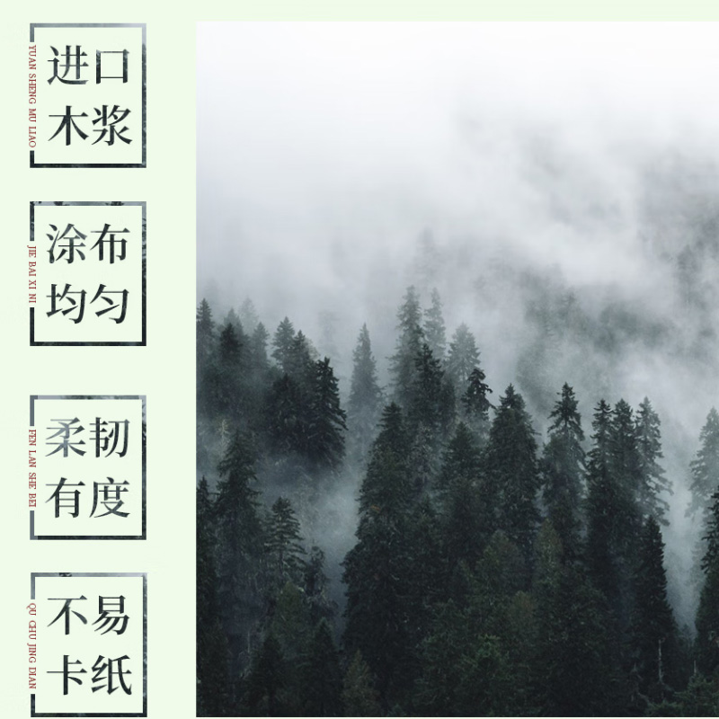 天章 (TANGO) 新绿天章一联整张不撕边 针式电脑打印纸 出入库单(241-1 全白 1000页)高清大图