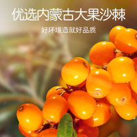 青源堂牌 内蒙沙棘原浆汁300ml*2果汁饮料无添加