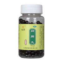 九芝堂 归脾丸360丸