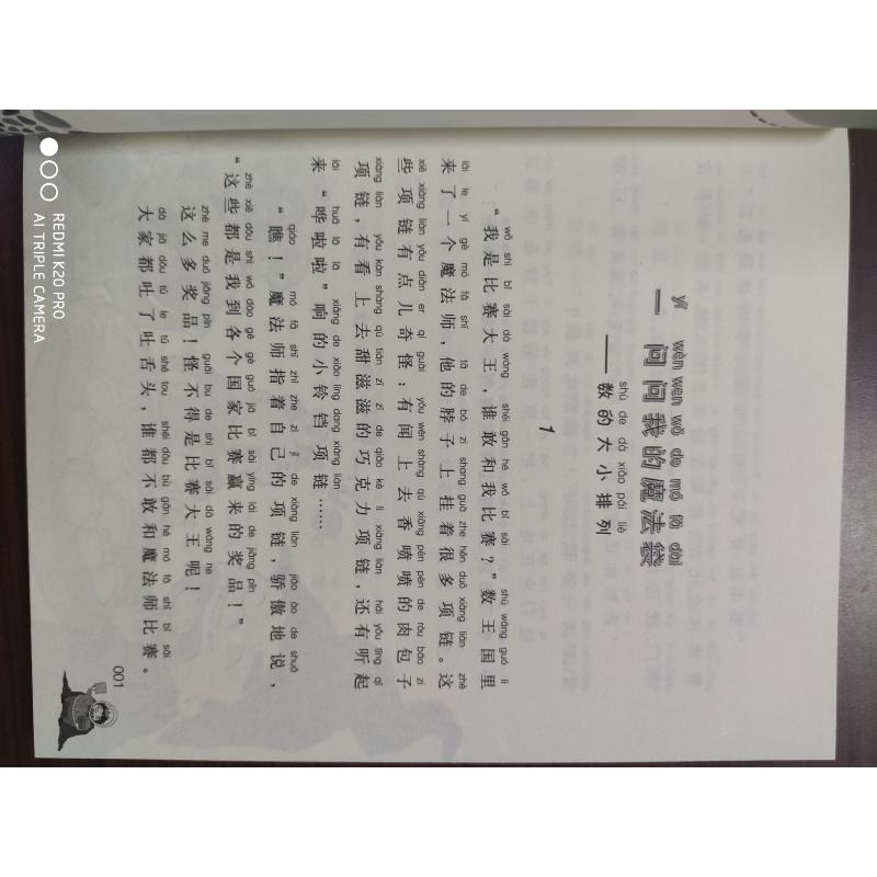 醉染图书的数王国9787531349105高清大图