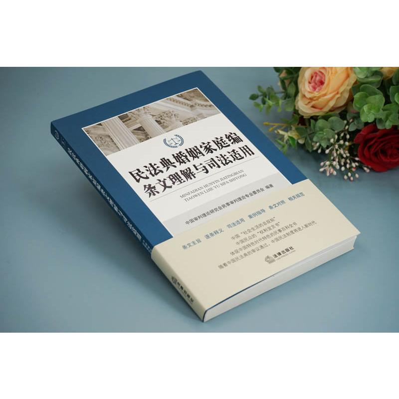 醉染图书民法典婚姻家庭编条文理解与司法适用9787519745011高清大图