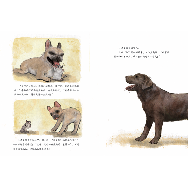 正版新书]小飞鼠和它的朋友-高洪波 绘本 高洪波高洪波978750161高清大图