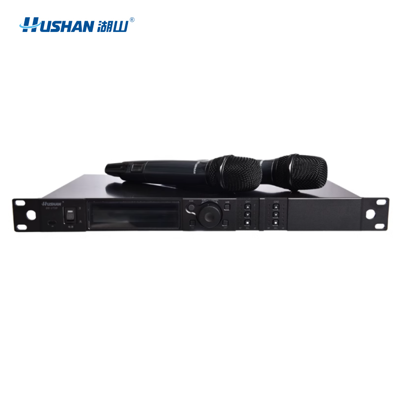 湖山 无线麦克风（一拖二无线话筒） DS-UT20 套