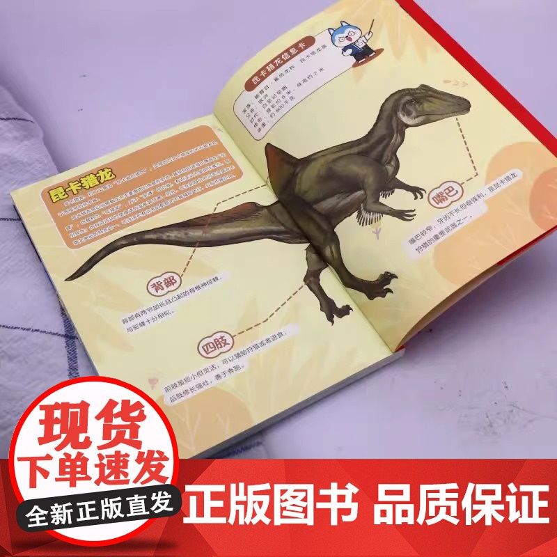 哈小浪奇遇记恐龙岛大冒险超能大侦探第8册全彩图文小说科学冒险故事哈小浪系列6-12岁小学三四五年级儿童文学课外阅读自营正高清大图