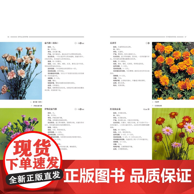 世界花艺素材图鉴 养花种花必备 国际通行植材应用手册 花店人必备手册 德国职业学校经典教材 北京科学技术高清大图