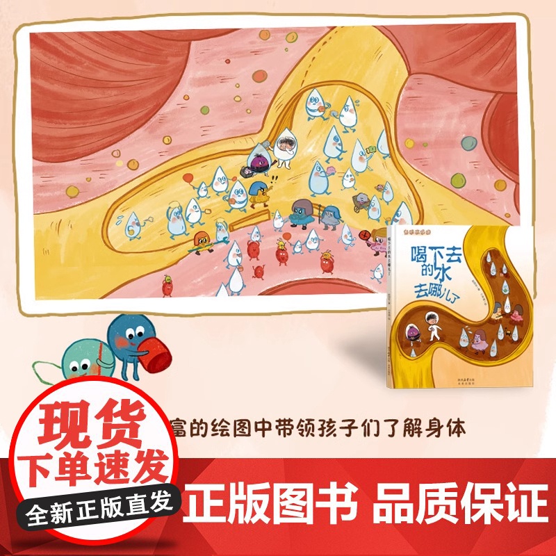 我们的身体系列喝下去的水去哪儿了精装硬壳绘本适合0-6岁幼儿让孩子了解身体的健康未来出版社全新正刊高清大图