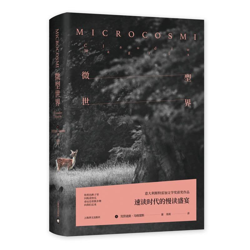 [正版]微型世界 [意]克劳迪奥·马格里斯 陈英译 意大利斯特雷加文学奖获奖作品 长篇小说 文化哲学 文化随笔 精装图片