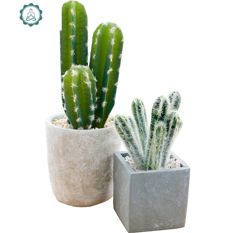 北欧仿真植物装饰绿植室内盆栽客厅摆件假花卉多肉仙人掌盆景摆设 封