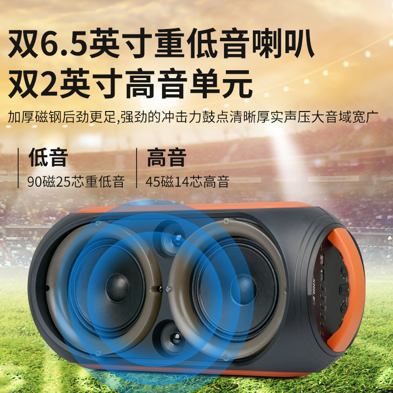 狮乐（SHILE）便携式蓝牙电瓶音箱户外音乐家庭KTV派对产品宣传便携音箱配无线话筒SL-2019