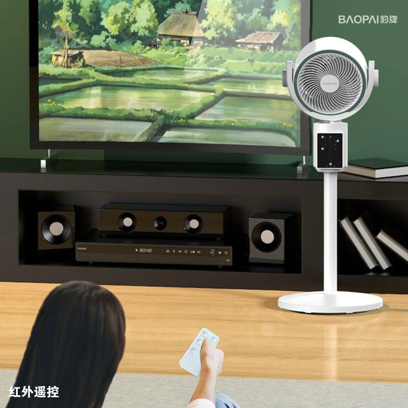 豹牌 3D立体智能空气循环扇 BP-XP221高清大图