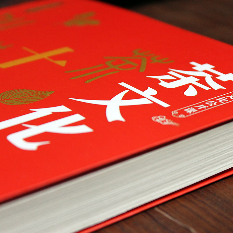 [正版]中华文化公开课茶文化十二讲 传统知识科普书中国特色交际文化 传播茶道文化弘扬传统茶文化提高对茶文化的了解和鉴赏能高清大图