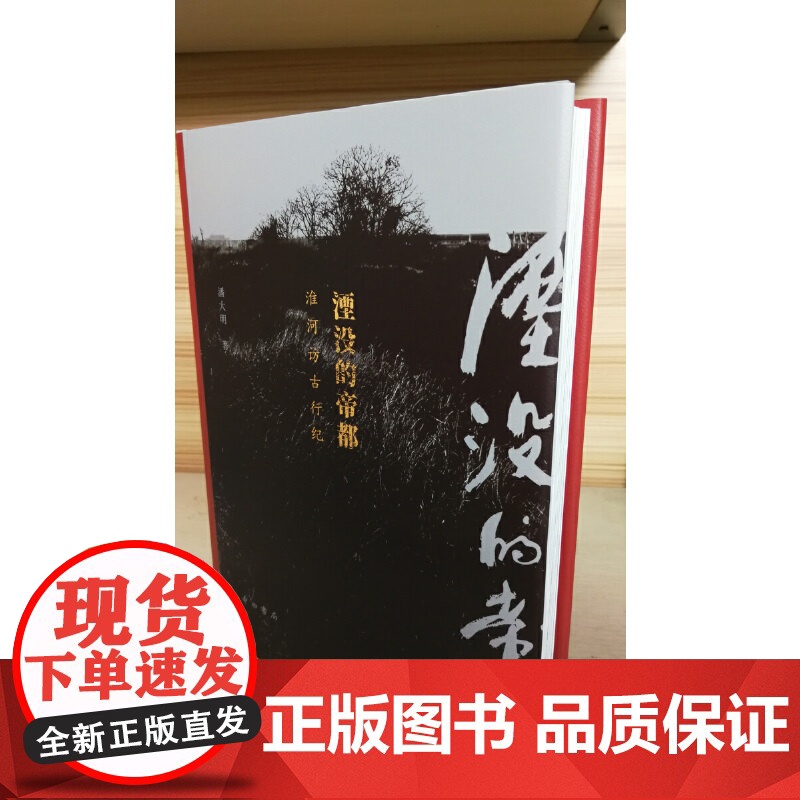 湮没的帝都淮河访古行纪 集田野考察人文历史研究拍摄书画创作非虚构类读物耙梳朱元璋大明帝国王朝崩溃成因精装 中西书高清大图