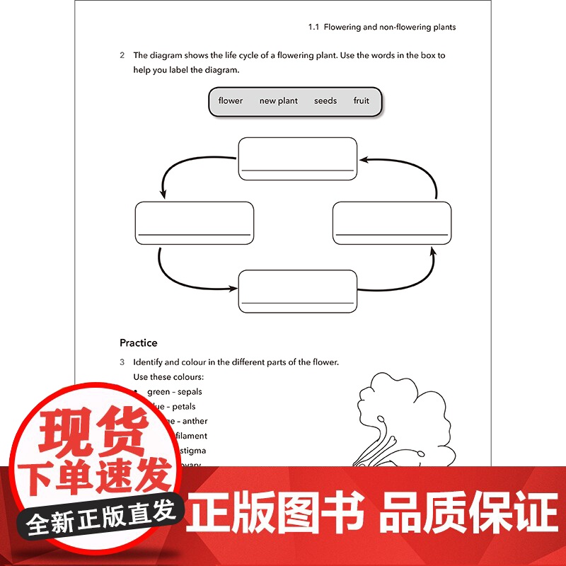[外研社]新思维科学活动用书5 小学五年级至初中二年级高清大图