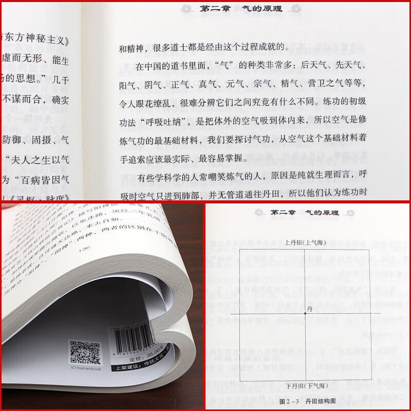 道家真气 [正版] 道家真气 气功修练次第 湛若水著 传承两千余年的梅花门修炼心得 气功初学者修炼入门指南 道家真气养生高清大图