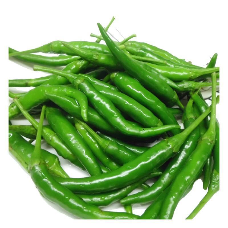 晋慧龙根茎类青小米椒5斤朝天椒指天椒小辣椒泡山椒野山椒新鲜蔬菜产发qq 价格图片品牌报价 苏宁易购农聚源官方旗舰店