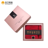600元礼包二（旺旺大礼包+福临门春节大礼包+坚果+干货+毛巾）