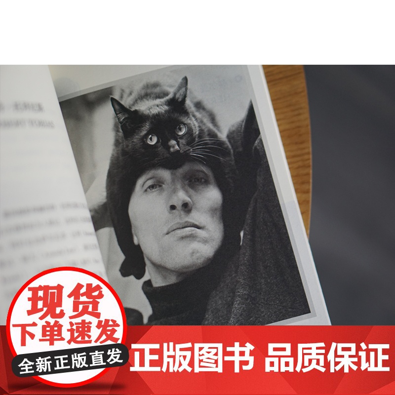 艺术家与他们的猫 (美)艾莉森·纳斯塔西 著 陈畅 译 折射集 摄影艺术 南京大学出版社高清大图