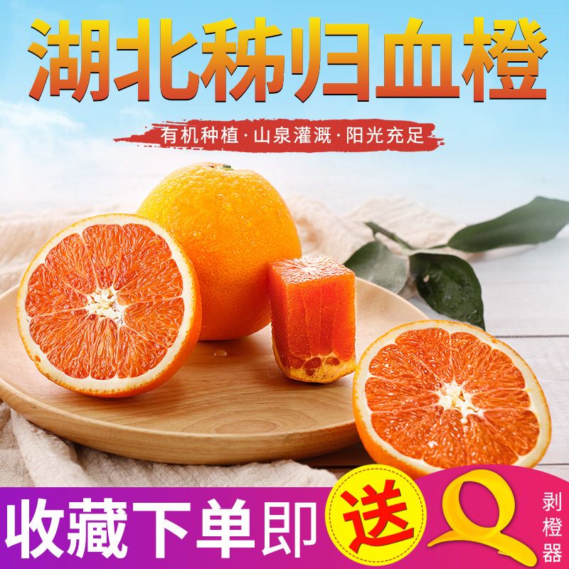秭归中华红血橙10斤礼盒装装 秭归脐橙新鲜橙子果径75-85mm精品果