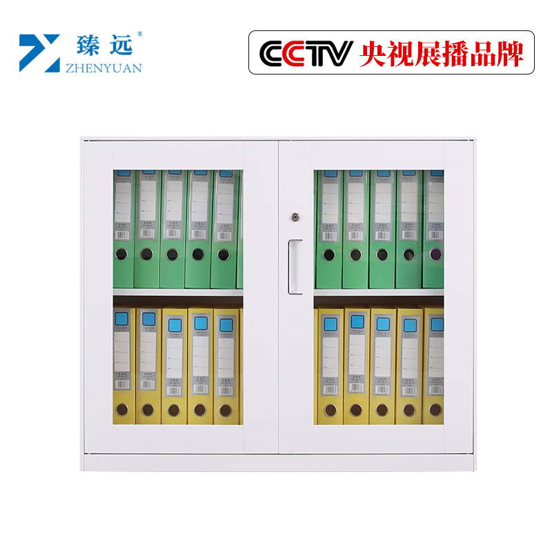 臻远文件柜办公柜钢制铁皮柜资料档案储物柜拆装窄边柜纯白色加厚款 760对开玻柜