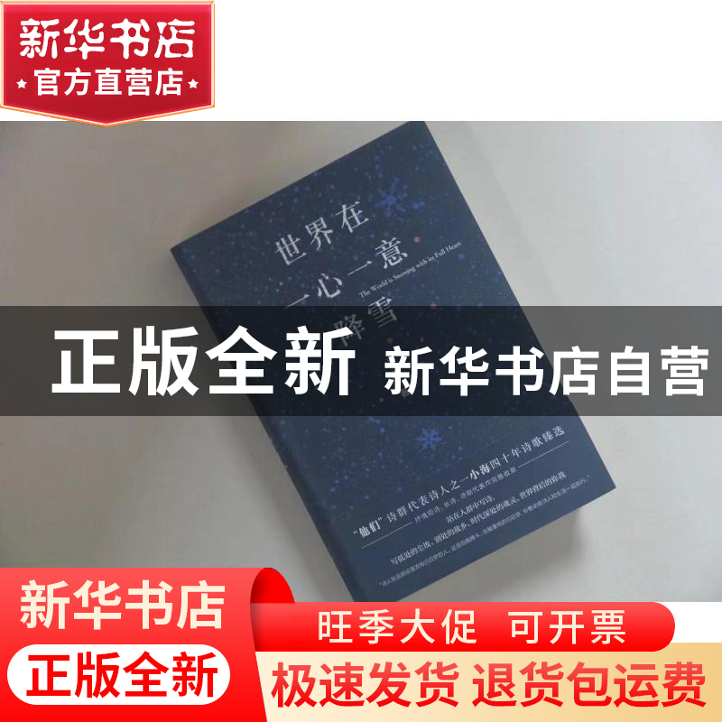 正版 世界在一心一意降雪 小海 江苏凤凰文艺出版社 978755946899高清大图