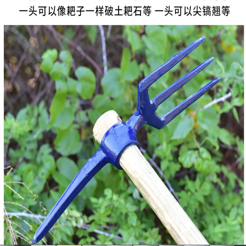 黄麓 三齿一尖 三齿一尖 带柄 个图片