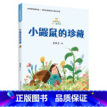 《小巴掌童话：小鼹鼠的珍藏》 【正版】小巴掌童话：小鼹鼠的珍藏张秋生春风文艺出版社2023山西整本书阅读活动二年级上册掌