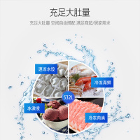 澳柯玛(AUCMA) 展示柜 SD-528 528升-26℃度商用大容量大型保鲜冰柜超市冷冻冰箱展示柜卧式保鲜