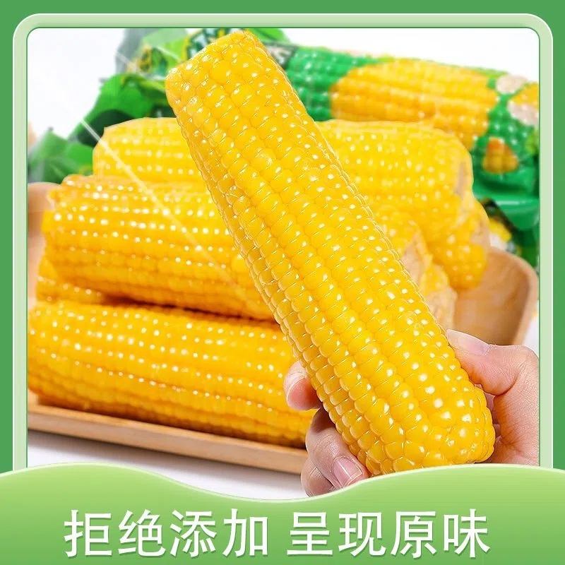谷本粮农黄糯玉米8根 新鲜甜糯玉米棒子加热即食粗粮蔬菜真空装黄玉米