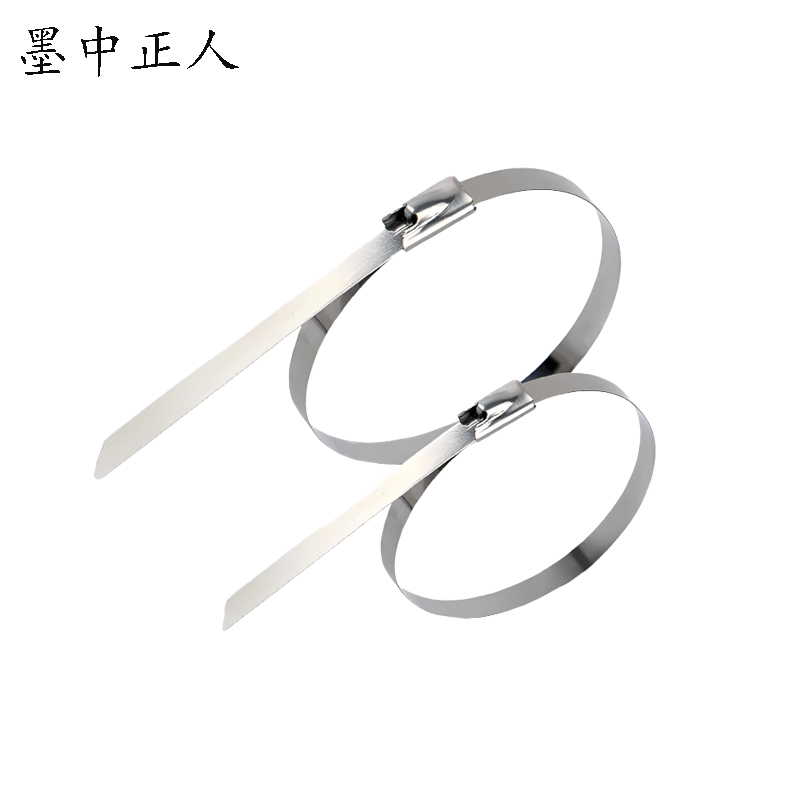 墨中正人不锈钢扎带zd1300根