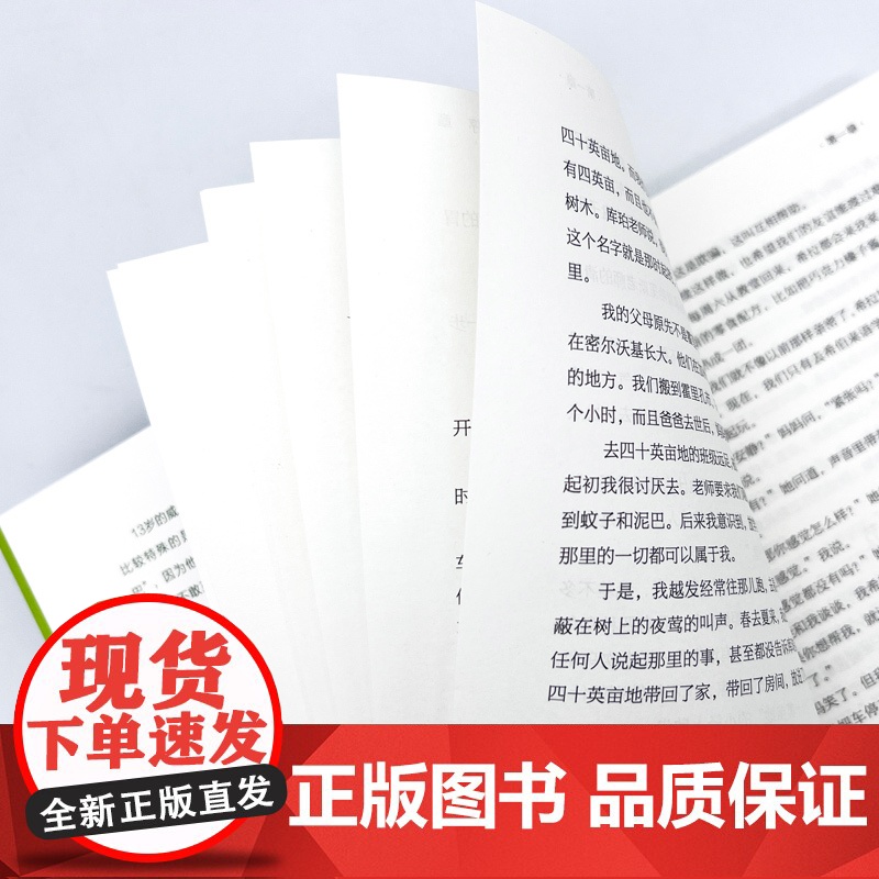 《不完美的你》2024百班千人六年级暑假阅读小学生课外阅读书籍9-12岁儿童文学小说正版三四五六年级青少年儿童文学成长高清大图
