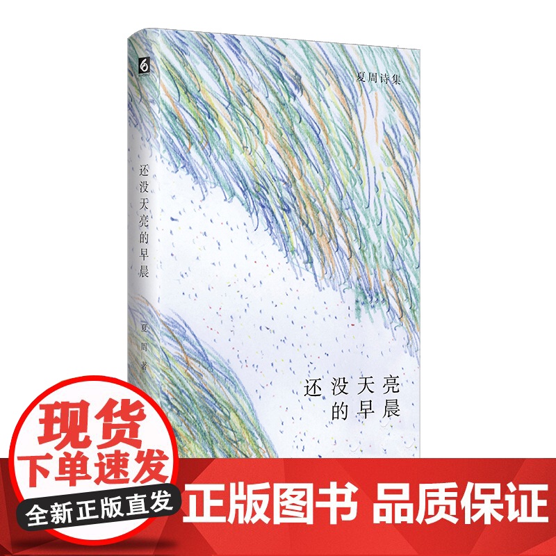 还没天亮的早晨 诗人夏周的自我发现之旅 夏周诗集 华东师范大学出版社高清大图