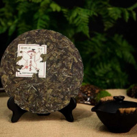 中茶 福鼎白茶蝴蝶牌茶叶2019年五年陈老白茶5220白茶饼357g饼