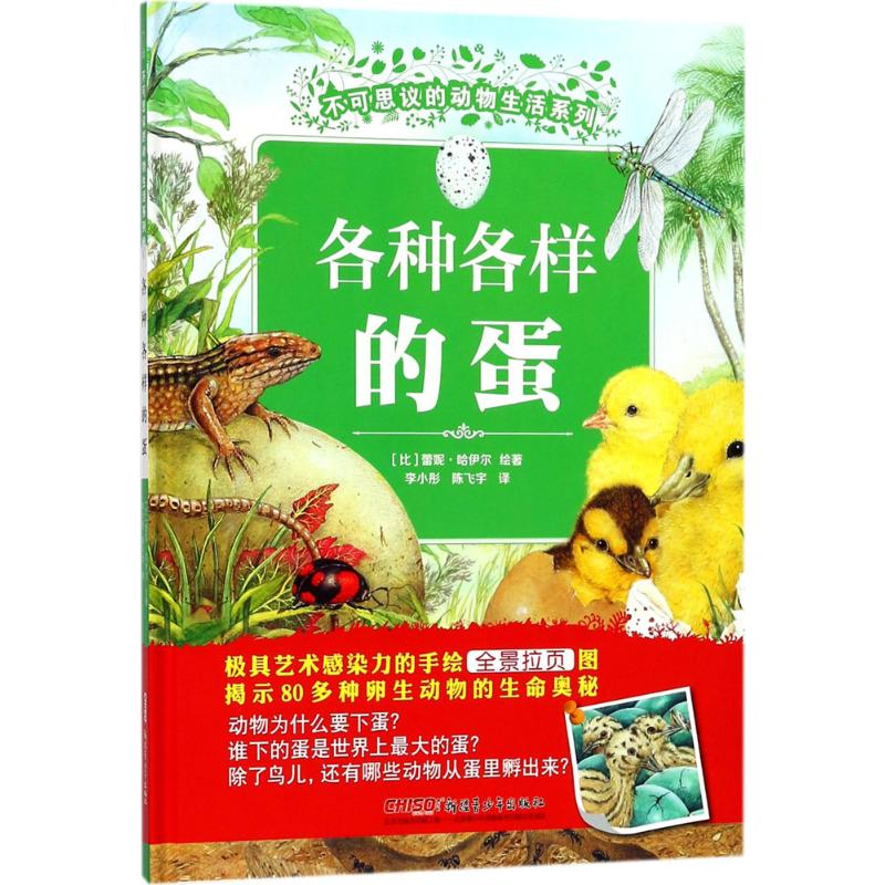 音像各种各样的蛋(比)蕾妮·哈伊尔 绘著;李小彤,陈飞宇 译