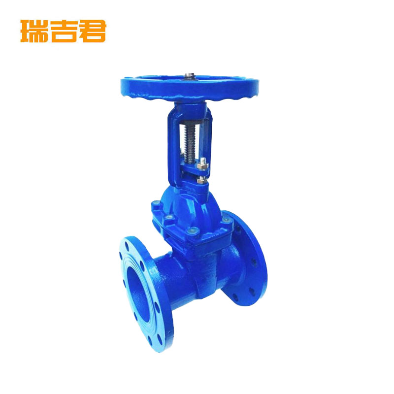 瑞吉君 软密封明杆闸阀 DN65 个高清大图