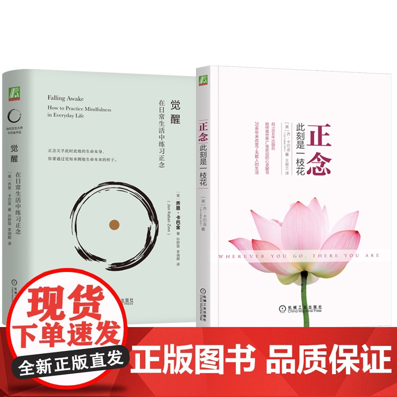 套装 正念 此刻是一枝花+觉醒 在日常生活中练习正念 套装全2册 乔恩 卡巴金 正念减压 阐明正念冥想精髓人生哲学心理学高清大图