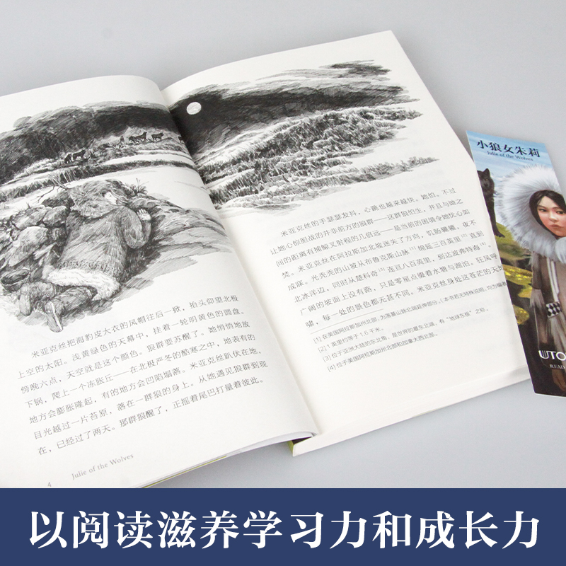 醉染图书长青藤国际大奖小说 6辑(全6册)9787571516864