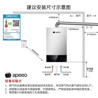 apeeo 12升燃气热水器JSQ24-FY-6332天然气家用支持智能恒温功能CO报警水气双调强排式热水器