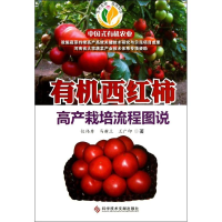 有机西红柿高产栽培流程图说