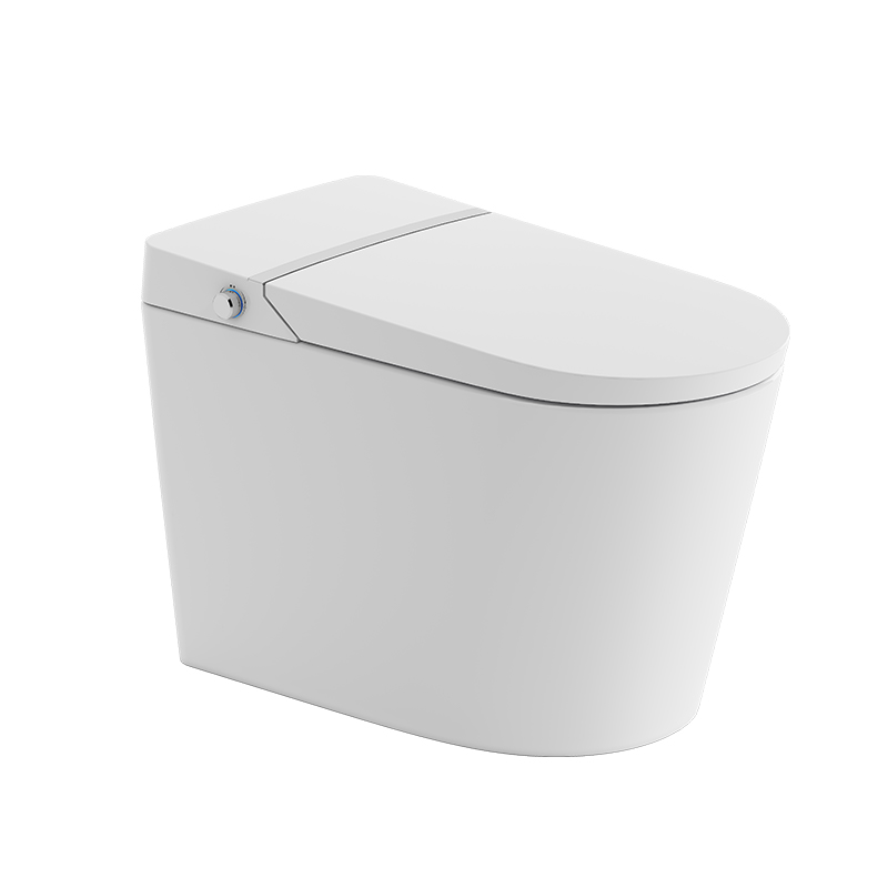 瑞尔特R&T智能马桶A7家庭版等离子杀菌支持儿童模式即热水洗烘干 白色 400坑距（390mm以上选400坑距）