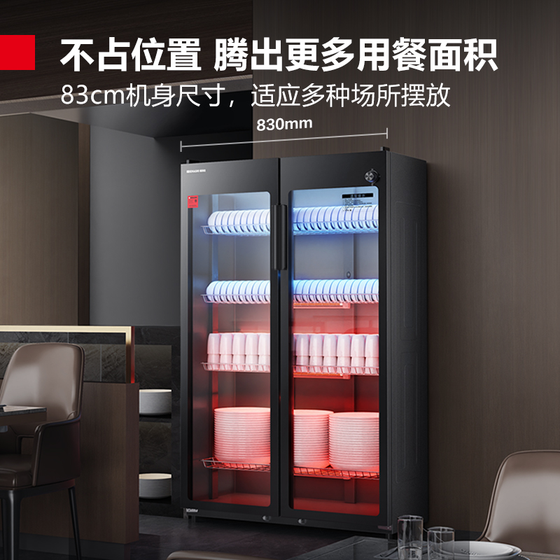 德玛仕DEMASHI商用消毒柜双开门立式大容量中温酒店餐厅饭店餐具茶杯碗柜 XDZ500-F3高清大图