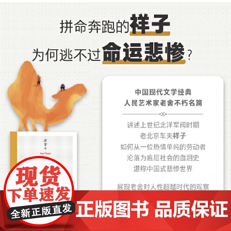 骆驼祥子 一本好书版本 老舍 天津人民出版社 正版书籍 语文教材经典 七年级名著导读 七年级下册阅读 果麦经典高清大图