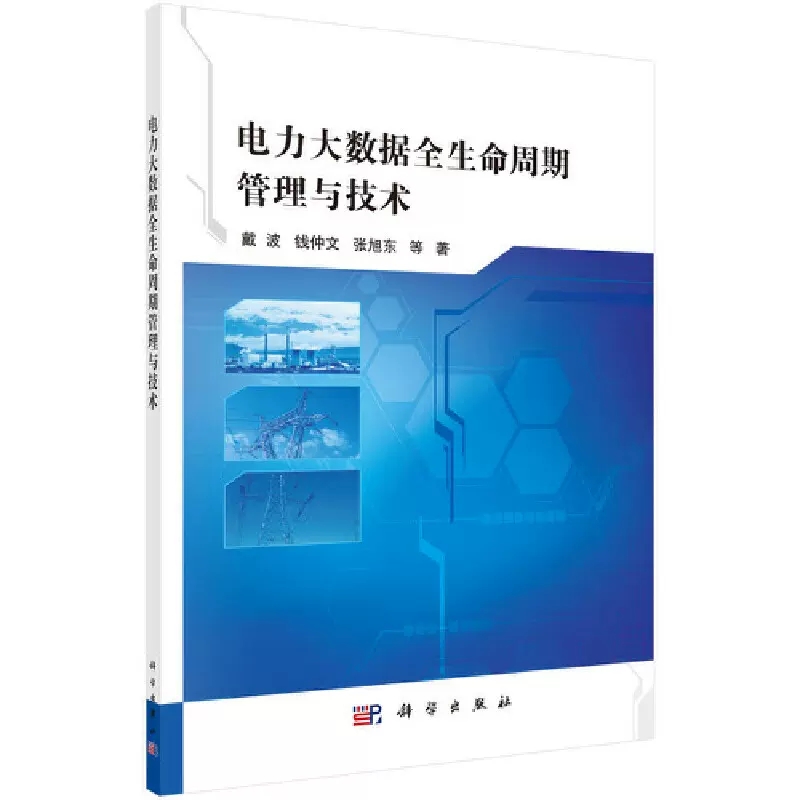 [正版]书电力大数据全生命周期管理与技术 电工技术科学出版社9787030626127书籍KX高清大图