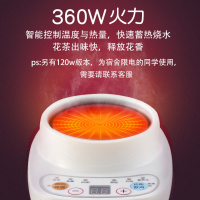 煮茶小型养生壶金蛋办公室烧茶炉mini花茶壶电炖杯玻璃烧水壶 360w底座+萝卜c+滤芯