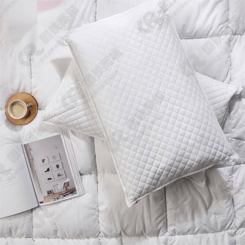 煊煜双层荞麦皮枕芯 纯荞麦壳荞麦皮枕芯 单只装 45*75cm图片