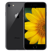 苹果(Apple) iPhone 8 64GB 深空灰色 移动联通电信全网通4G手机 A1863 iphone8