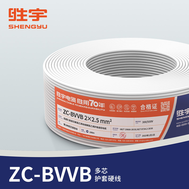 胜宇 ZC-BVVB护套扁平平行线家装硬线 2*4mm²-白色-100米