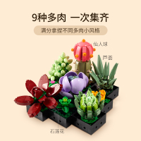 LEGO乐高10309多肉植物拼装积木玩具益智收藏礼物