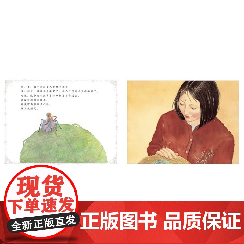 苏菲的杰作 冰心奖儿童绘本 性格培养情商管理励志3-6-8岁幼儿园一二年级上下册快乐读书吧宝宝早教启蒙睡前图画故事书籍高清大图