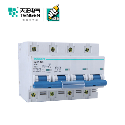 天正电气 空气开关 DZ47-125 4P C80A 6KA 01060020012 微型断路器
